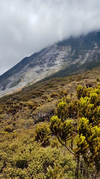 20180816沙巴神山大霧+飛索之旅390376