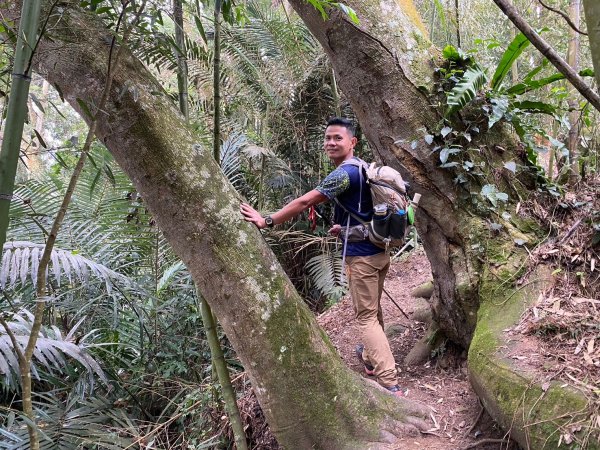 望鄉部落.獵人古道.望美山.瓊山【人與自然山林的恩怨情仇】2731411