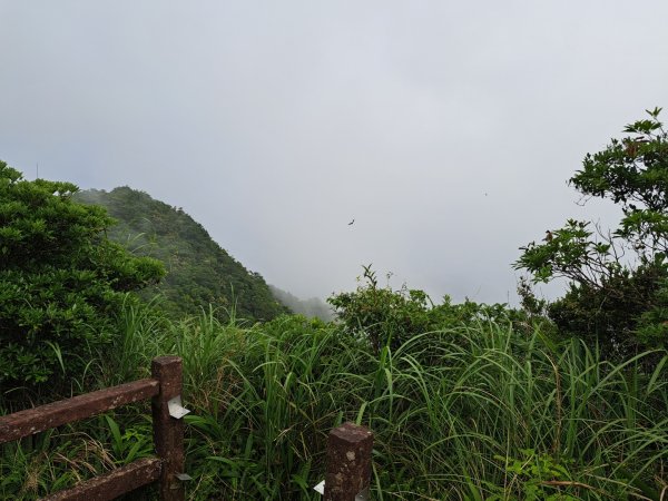 新北桃源谷步道（大溪線）3106362