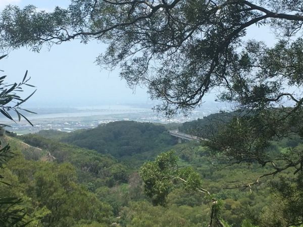 大肚萬里長城步道304073