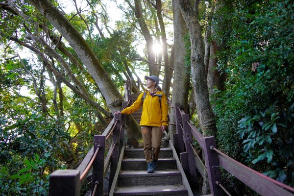 聚興山 新田登山步道封面