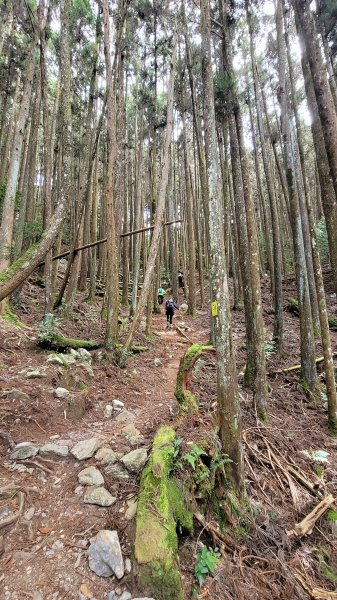 谷關七雄--馬崙山2326343