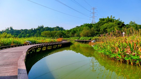 大社觀音山湖2954912