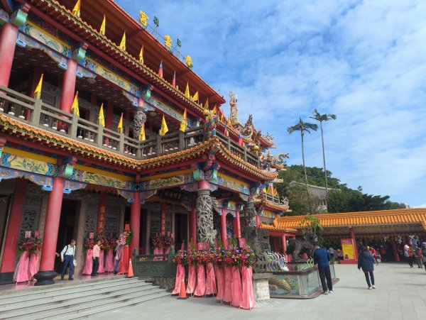 2025.11.29－草嶺古道芒花季2956003