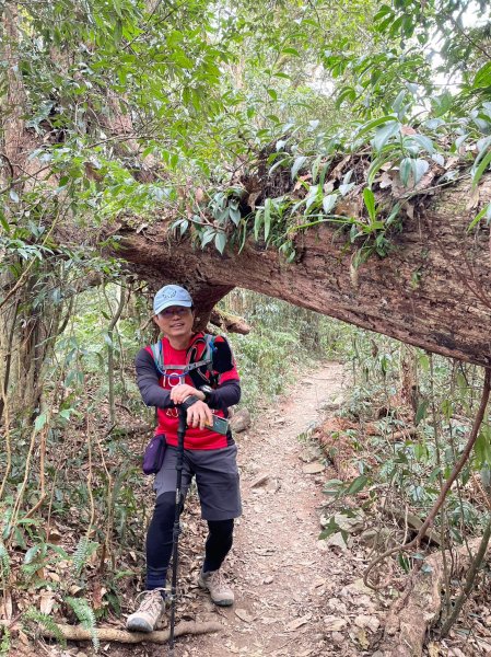 230219-告別寒假，挑戰魔王小百岳#073 尾寮山。美美兔咬牙慢走8小時。2040908