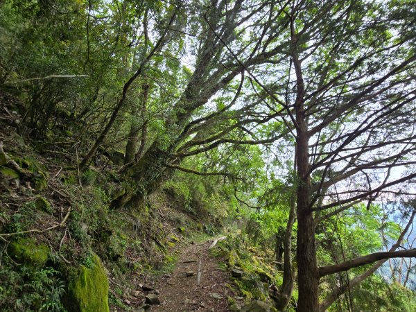 石山引水道2758975