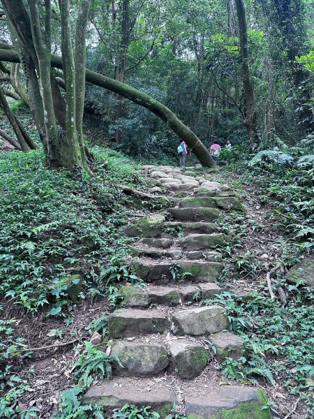 大棟山系第一段、第二段一起走2857264