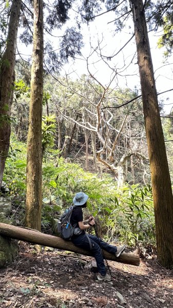 崩潰陡上的水雲三星～鳥嘴山（上島山）2095286