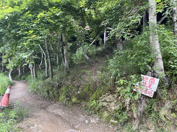 2025_0524 司馬庫斯神木群步道2797197