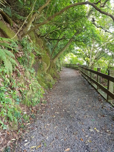 天母古道-水管路1104196