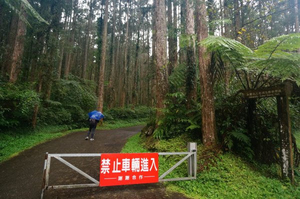 溪頭自然教育園區2016941