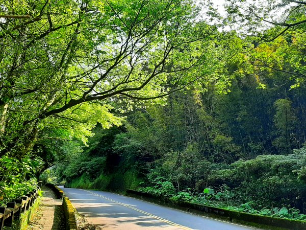 走遍陽明山：人車分道系統｜環七星山人車分道2093235