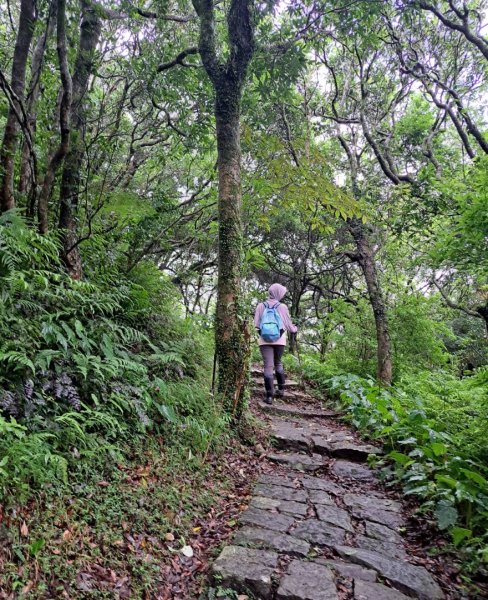 大屯主峰二子坪O型縱走2511217