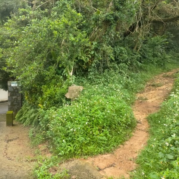 臺北大縱走第六段：中華科技大學至捷運麟光站2810850