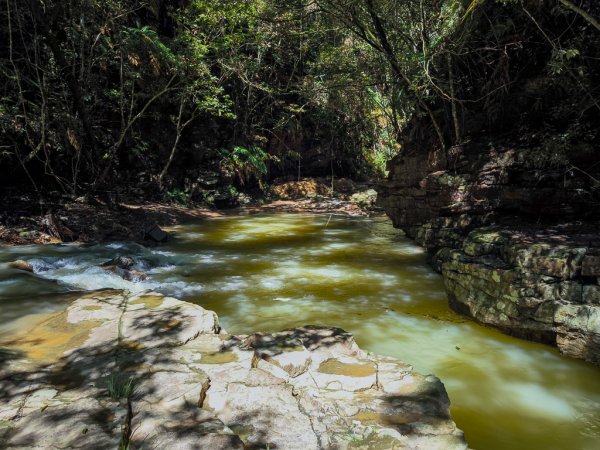 2024-08-22 澀水森林步道2578450
