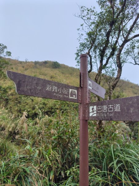 渭水之丘 烘爐地山 抹茶山 三角崙山2938813