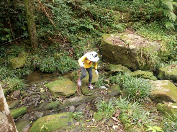 三角湖山向天湖山光天高山O形1911603