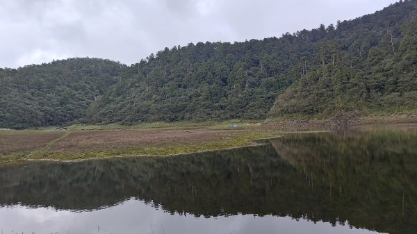 棲松縱走未竟2918348