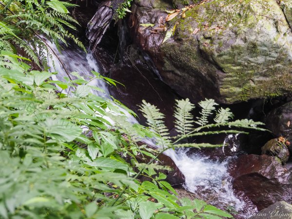 [宜蘭]五峰旗-聖母山莊-三角崙山820489