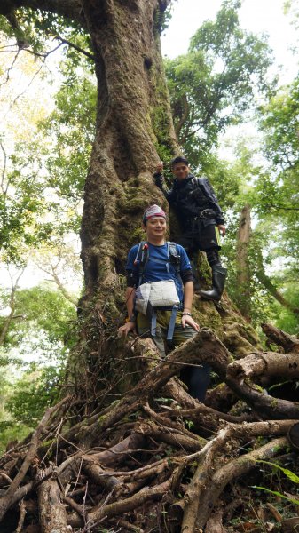 高島縱走之慶479233