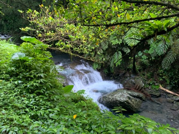 林美盤石步道1458274