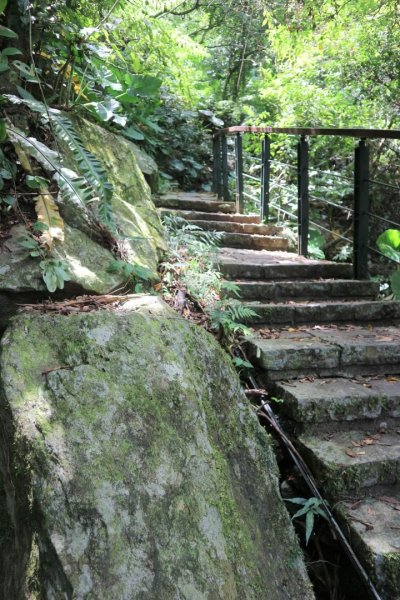 〔花蓮〕布洛灣吊橋+伊達斯步道+環流丘步道。一次走好走滿的布洛灣壯麗景觀步道2266374
