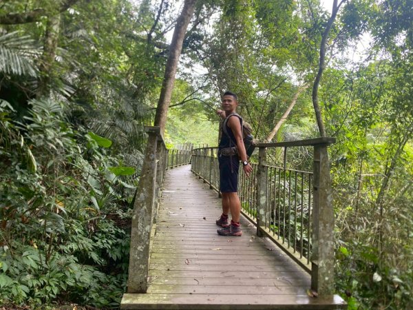 南庄.蓬萊溪護魚步道.四十二份坪步道.小東河步道【差點一事無成的七月暑假】2849359