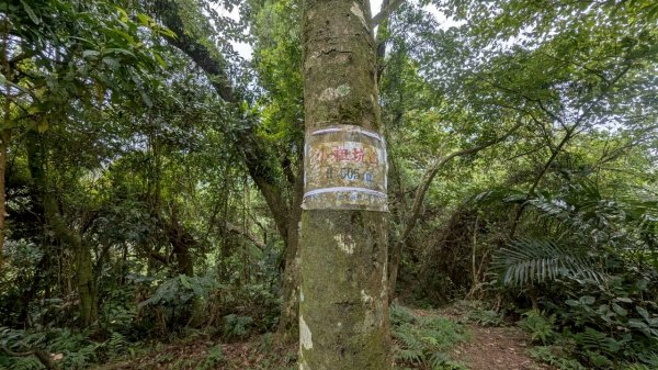 114.06.21大竹坑山-小粗坑山-石門山之旅2818873