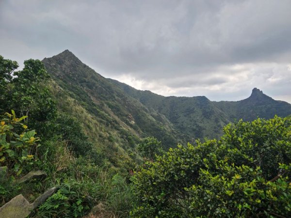 鋸齒稜555峰