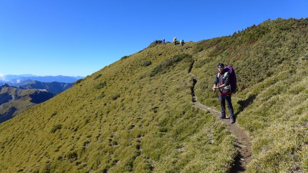 大好天氣的奇萊東稜488902