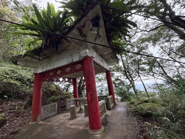 [微笑山線_第三段] 2026_0328 鳶山山系_福德坑山3025568