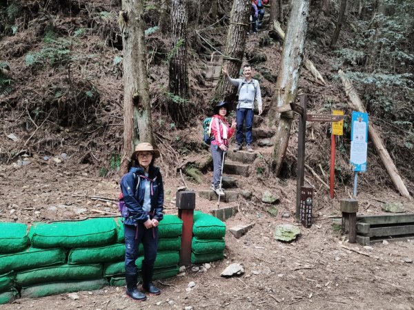 鳥東洗縱走11503213023064