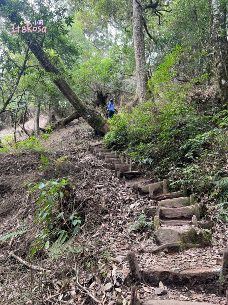 馬崙山-谷關七雄 中級山2337118