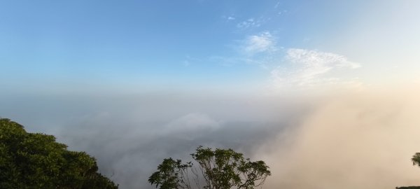雲山水花鳥蝶-天龍國阿伯的日常 #艷紅鹿子百合 #大鳳蝶 #玉帶鳳蝶2863897
