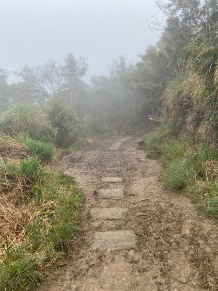 太平山 山毛櫸步道 霧氣金黃高氧量742435