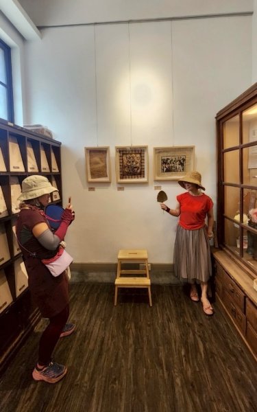 雨天備案💙 台灣博物館的古生代館-台大動植物館免費參觀-北投♨️季2808835