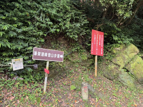 [微笑山線_第八段] 2026_0411 二格山系_西帽子岩3034936