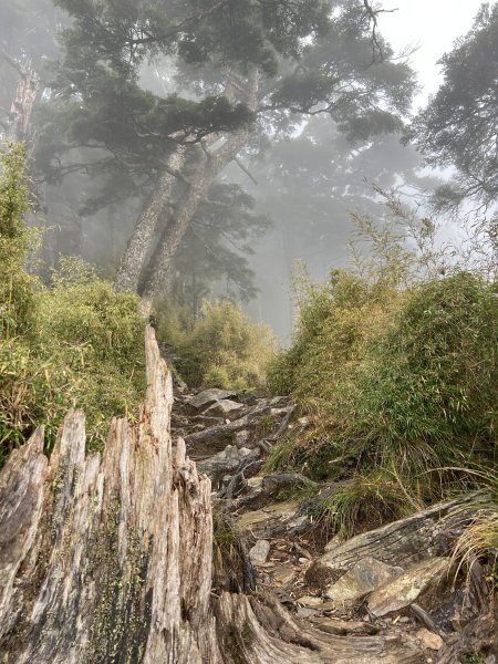 百岳-塔關山2695799