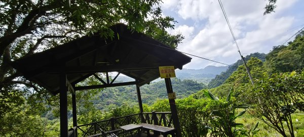 2025/08/09_赤柯山+東獅頭山步道2856311