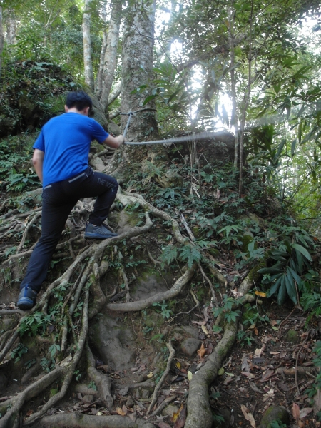 台灣小百岳第30座-五指山主峰三角點85903