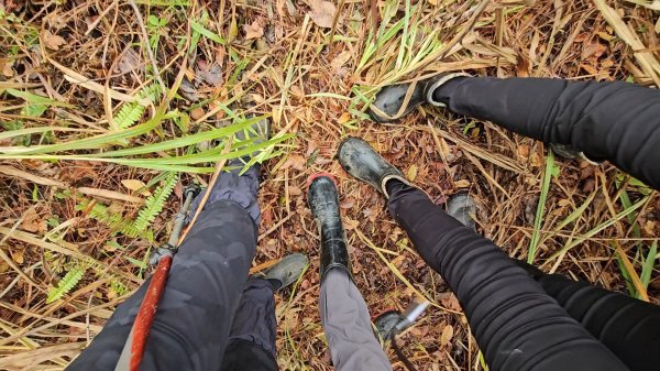 20251220上谷關山縱走四連峰2974352