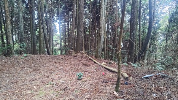 雪見遊戲區盡尾山二本松山2702690