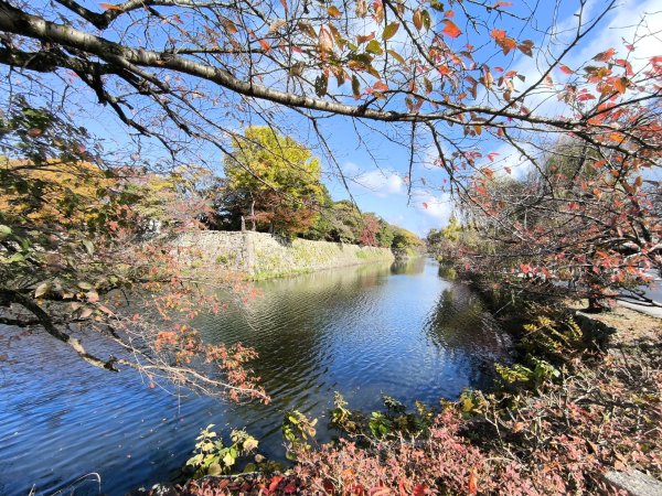 【日本健行】岡山、彥根 (近江八幡、彥根城)、姬路(書寫山圓教寺、世界遺產姬路城、好古園)2946510