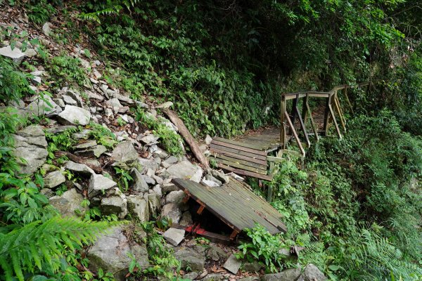 台中 和平 馬崙山2796937