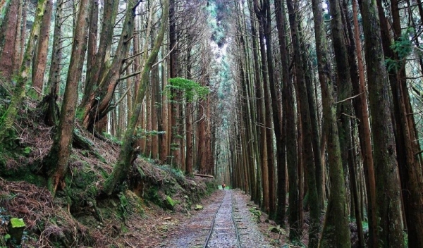 【路線】鐵軌步道