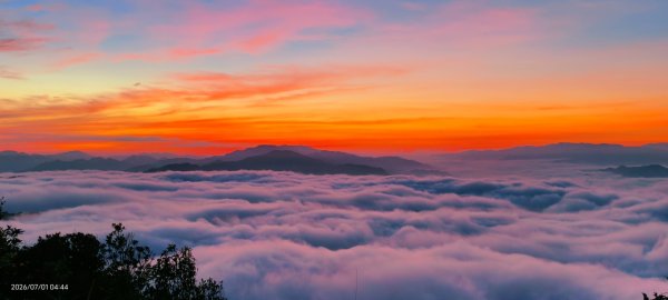 #石碇後山 #霞光 #日出 #雲海 #火燒雲 #魔目裳蛾 7/1&33080436