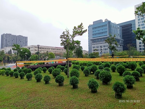 內湖大港墘公園、文德三號公園、大稻埕慈聖宮【走路趣尋寶、健康大穀東】2322776