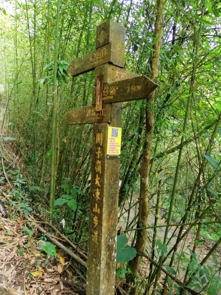 台南白河~台南第一高峰。 關仔嶺大凍山917808