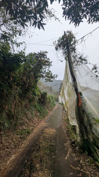 橫龍山、橫龍古道2682933