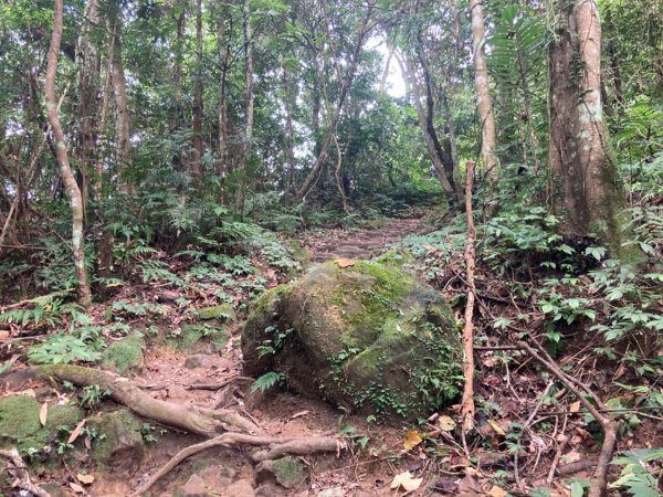 五指山登山步道2293203